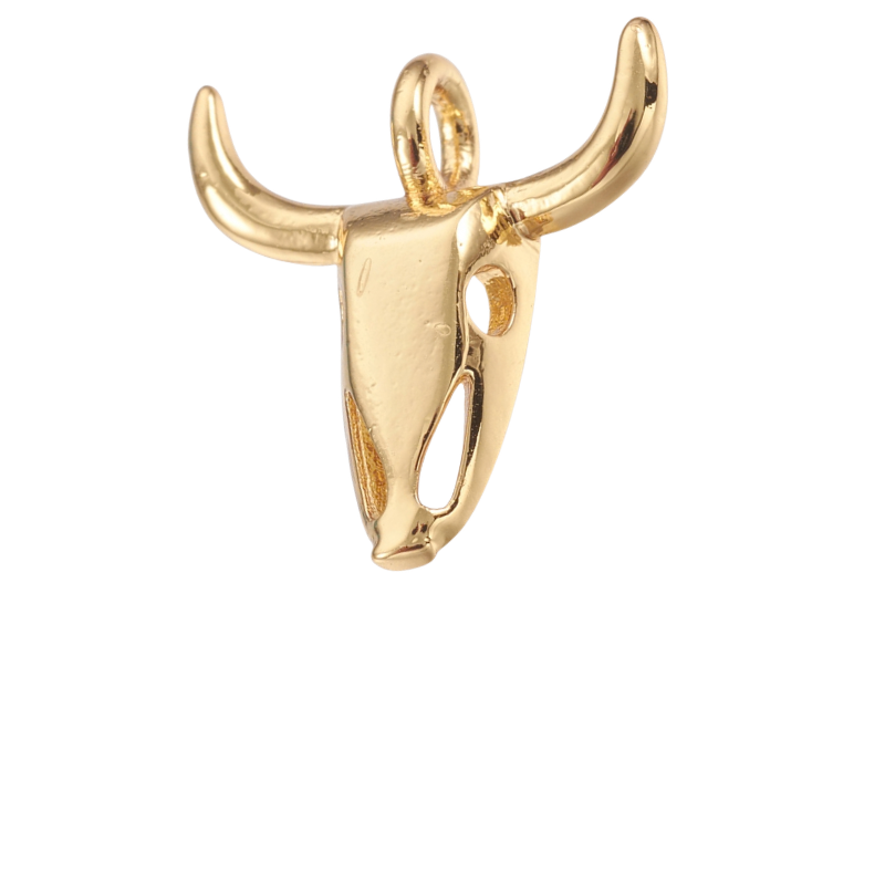 Longhorn Skull