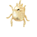 Beetle