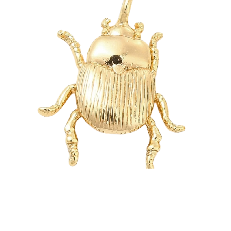 Beetle