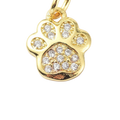 CZ Paw Print