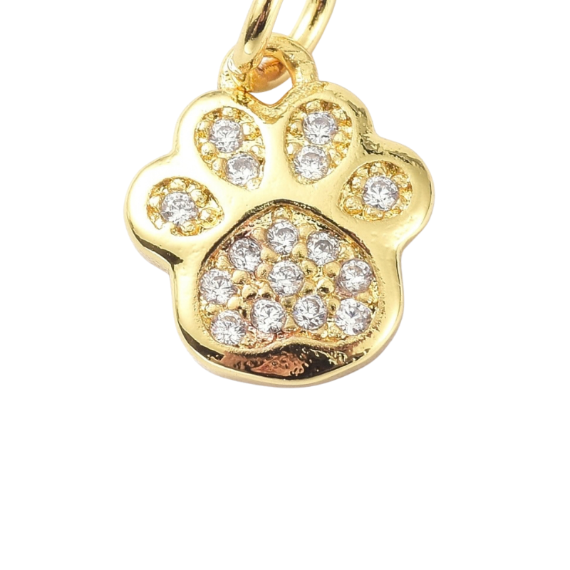 CZ Paw Print
