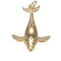 Whale