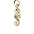 Seahorse