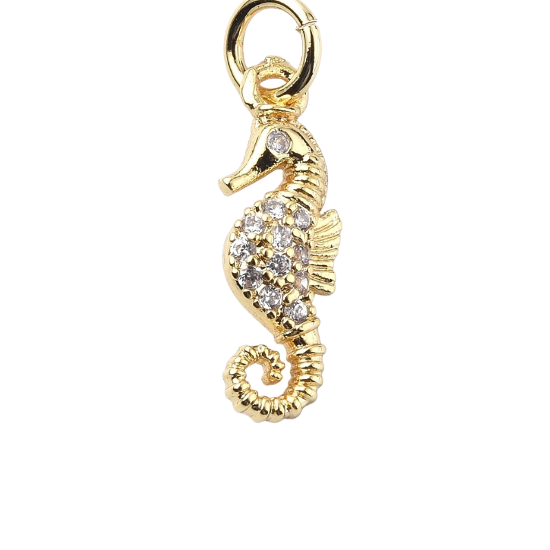 Seahorse